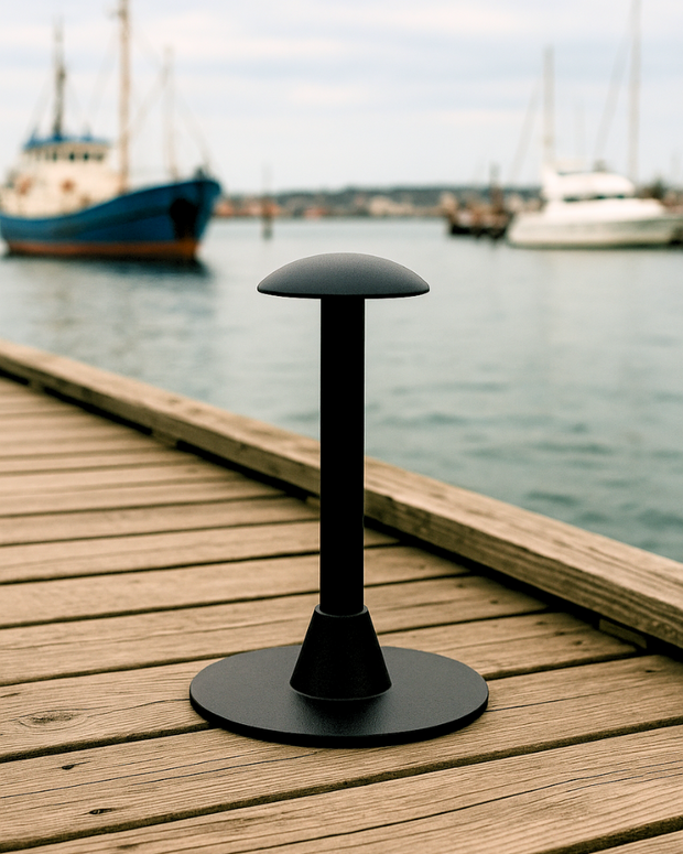 <h2><strong>Mât de support</strong></h2>